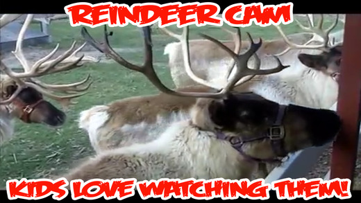 ReindeerCam - Watch Santa's Reindeer More