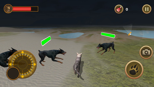 【免費遊戲App】Cat Survival Simulator-APP點子