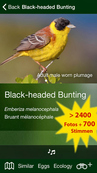 免費下載書籍APP|All Birds Germany - A Complete Field Guide of all the Birds Recorded in Germany app開箱文|APP開箱王