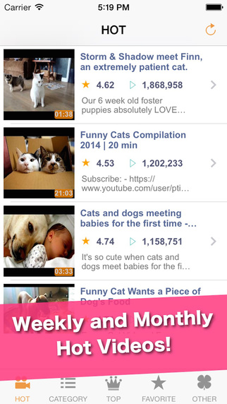 【免費書籍App】CatTube - cats, kittens video viewer-APP點子