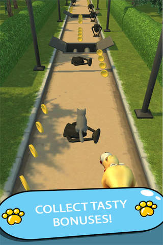 Cat Chase 3D screenshot 4