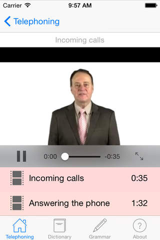 Business English Telephoning screenshot 2