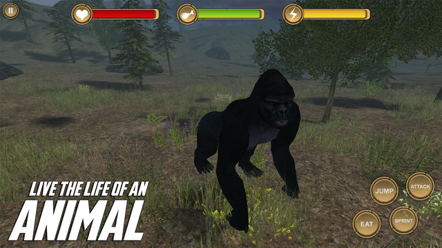 免費下載遊戲APP|Gorilla Simulator HD Animal Life app開箱文|APP開箱王