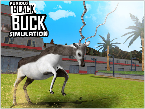 免費下載遊戲APP|Furious Black Buck Simulation app開箱文|APP開箱王