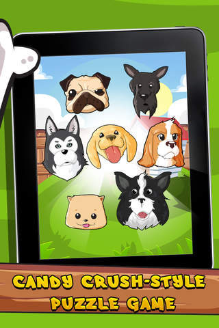 Adorable Puppy Match PopStar screenshot 2