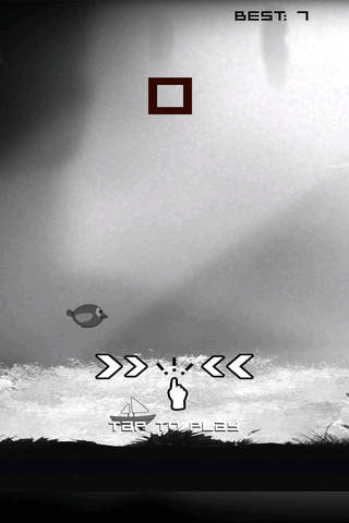 Bird in Black-Flap to Fly screenshot 2