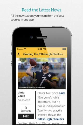 Pittsburgh Football Alarm Pro screenshot 3