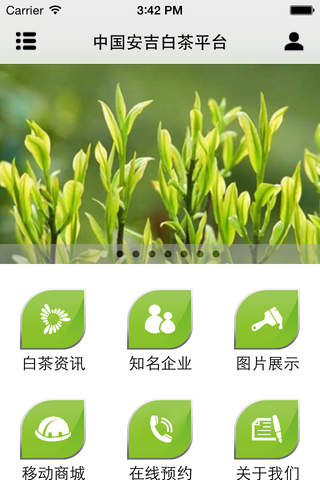 中国安吉白茶平台 screenshot 2