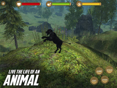 【免費遊戲App】Jaguar Simulator - HD-APP點子