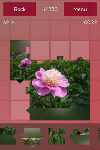 Flowers Puzzle Collection screenshot 4