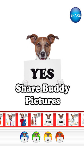 Tweet and Share with Buddy Pictures