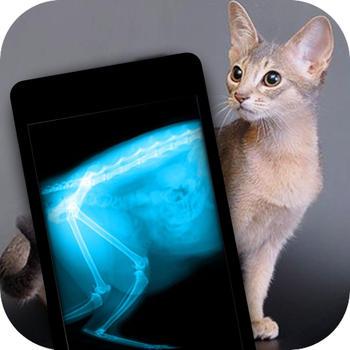 Simulator X-Ray Photo Cat LOGO-APP點子