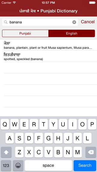 【免費書籍App】Punjabi Dictionary-APP點子