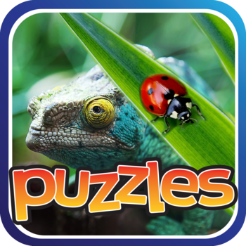 Puzzles of Bugs and Reptiles Life Game 遊戲 App LOGO-APP開箱王