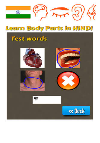 Learn Body Parts in Hindi screenshot 3