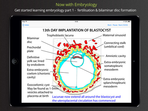 【免費醫療App】Anatomy Lectures and MCQs-APP點子