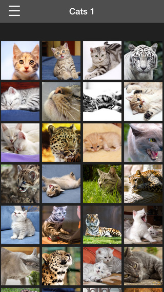 免費下載生活APP|Cats Wallpapers HD app開箱文|APP開箱王