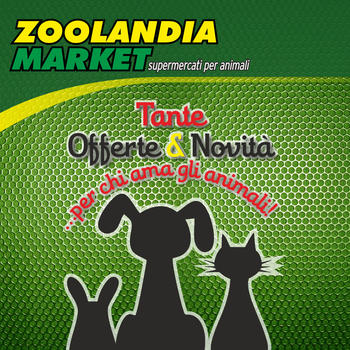 Zoolandia News LOGO-APP點子