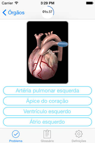 Questionário Anatomia screenshot 4