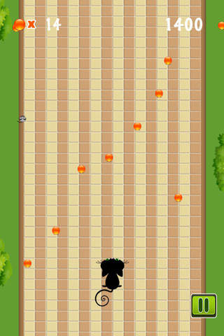 Meow Chase! - A Cute Cat Jumping Game- Free screenshot 4