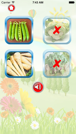 免費下載教育APP|Vegetables For Kid - Educate Your Child To Learn English In A Different Way app開箱文|APP開箱王