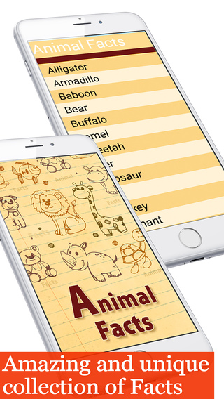 Animal facts collection