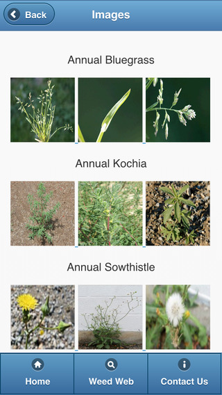 免費下載教育APP|Common Weeds of the Utah Yard and Garden app開箱文|APP開箱王