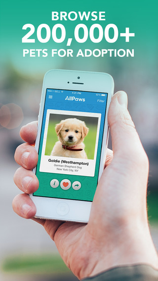 AllPaws - Find a Dog Cat or Pet to Adopt Near You