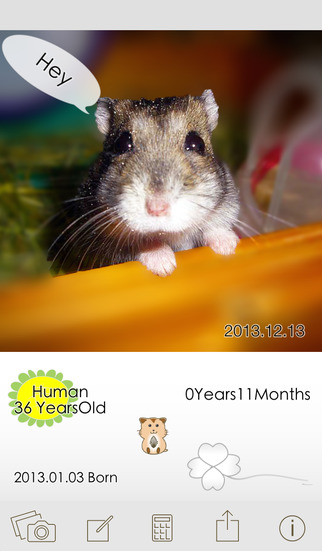 免費下載生活APP|HowOldHam? Save pictures calculating the age of the pet Hamster. app開箱文|APP開箱王