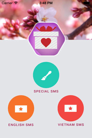 SMS Valentine 2015 screenshot 4