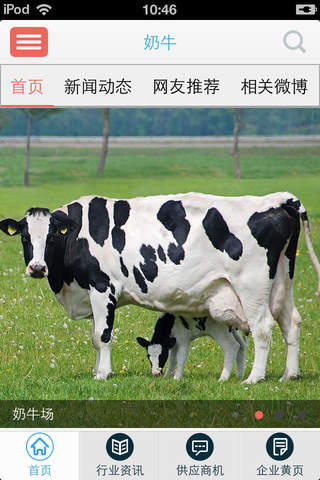 奶牛——奶牛行业资讯 screenshot 2