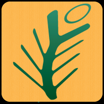 Pine Tree Wellness Spa LOGO-APP點子