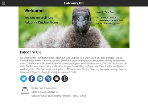 【免費娛樂App】Falconry UK-APP點子