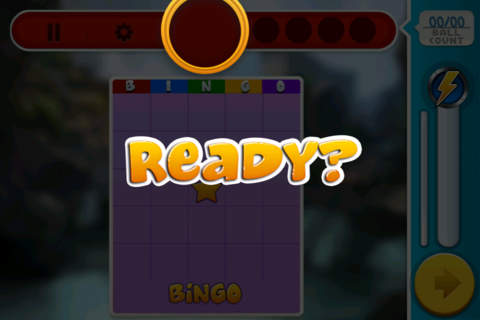 Bingo Extravaganza Ole Pro screenshot 3