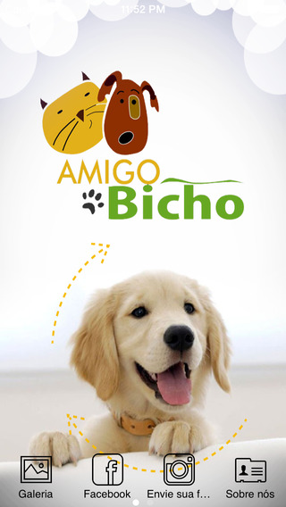 Amigo Bicho