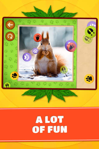 Forest & Jungle Animals Puzzles – Logic Game for Toddlers, Preschool Kids, Little Boys and Girls screenshot 4