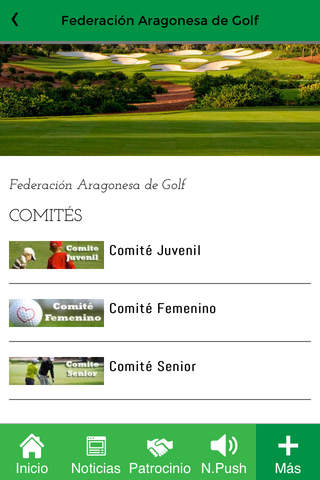 Federación Aragonesa de Golf screenshot 3
