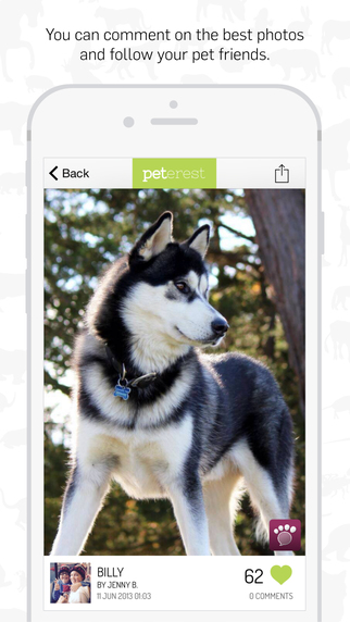 【免費社交App】Peterest - Pet Photo Gallery-APP點子