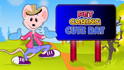 Pet Caring Cute Rat
