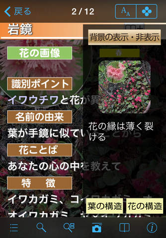 季節の野草・山草図鑑 screenshot 3