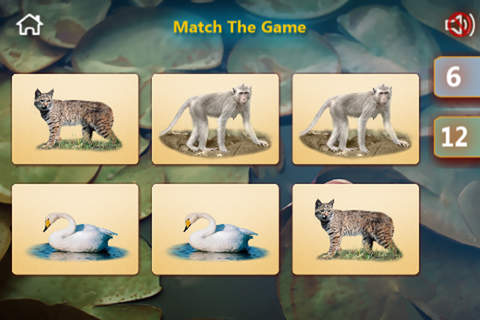 Animal Worlds screenshot 4