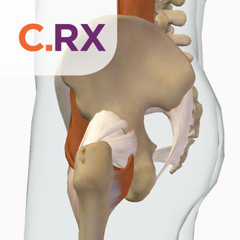 Orthopedics Patient Education by CoherentRx LOGO-APP點子