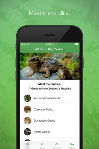 Wildlife of New Zealand screenshot 2