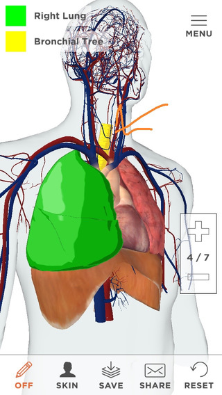 【免費醫療App】Pulmonology Patient Education by CoherentRx-APP點子