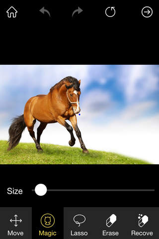 KnockOut- Professional Grade Photo Cutout & Easy Sticker Maker Photo & Video