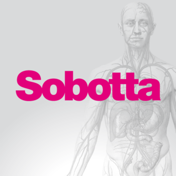 Sobotta LOGO-APP點子