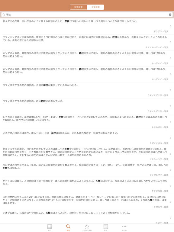iPad Screenshot 4