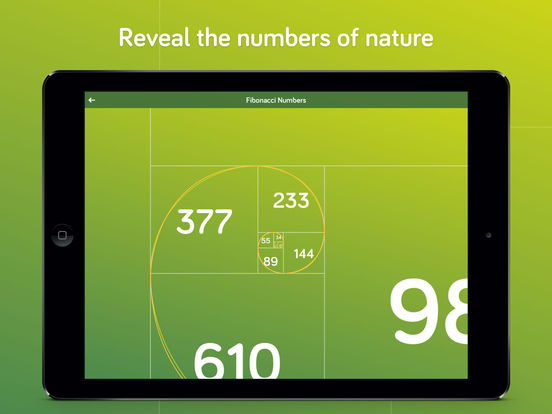 iPad Screenshot 3