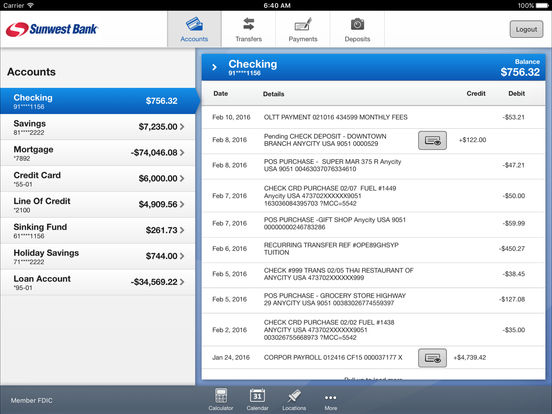 iPad Screenshot 3