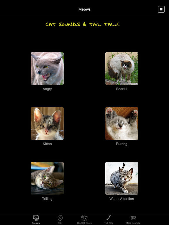 Cat Sounds & Tail Talk screenshot